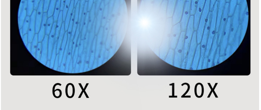 1629424449948001213.jpg